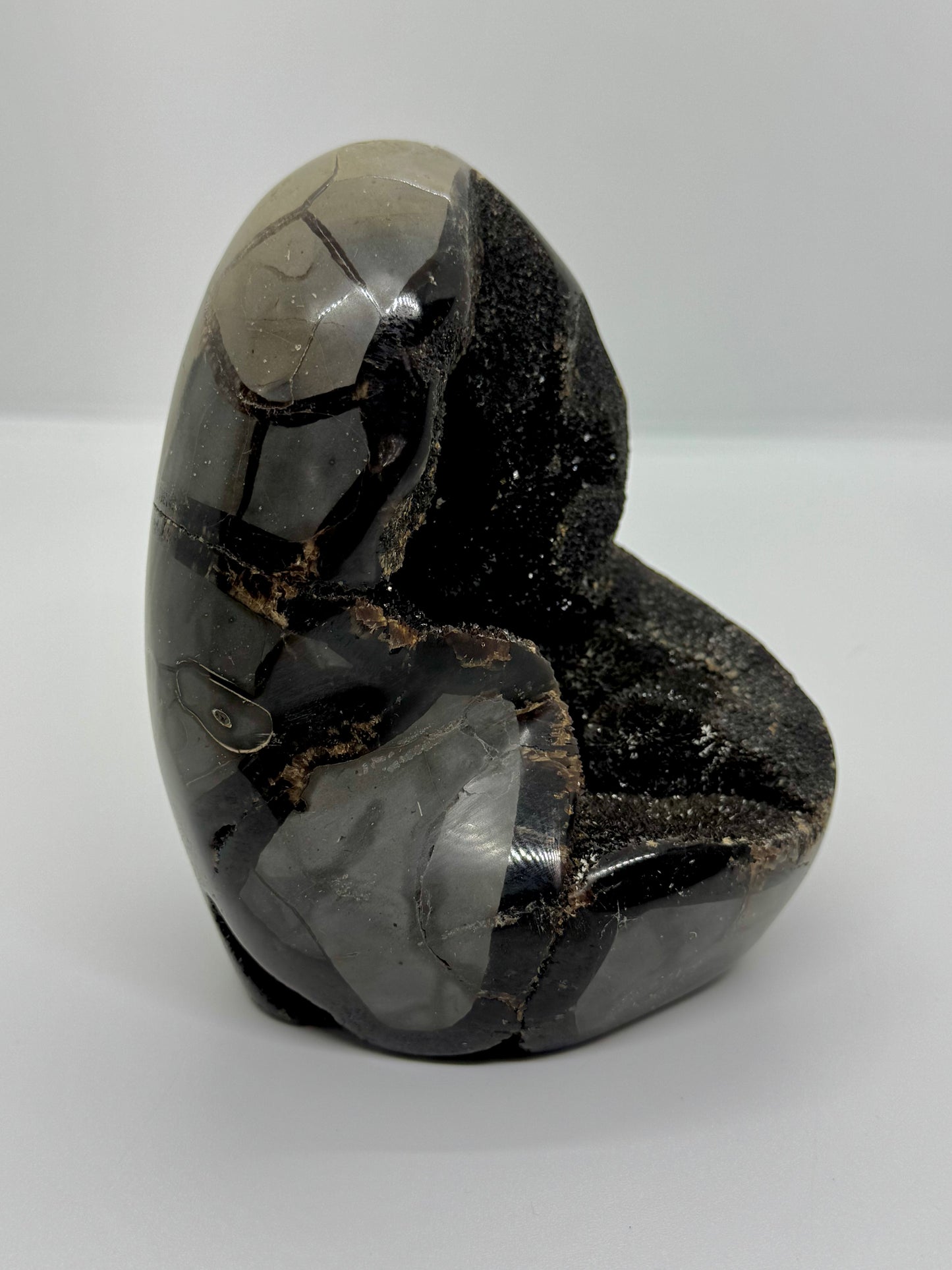 Oeuf Septaria sauvage - 1.2kg