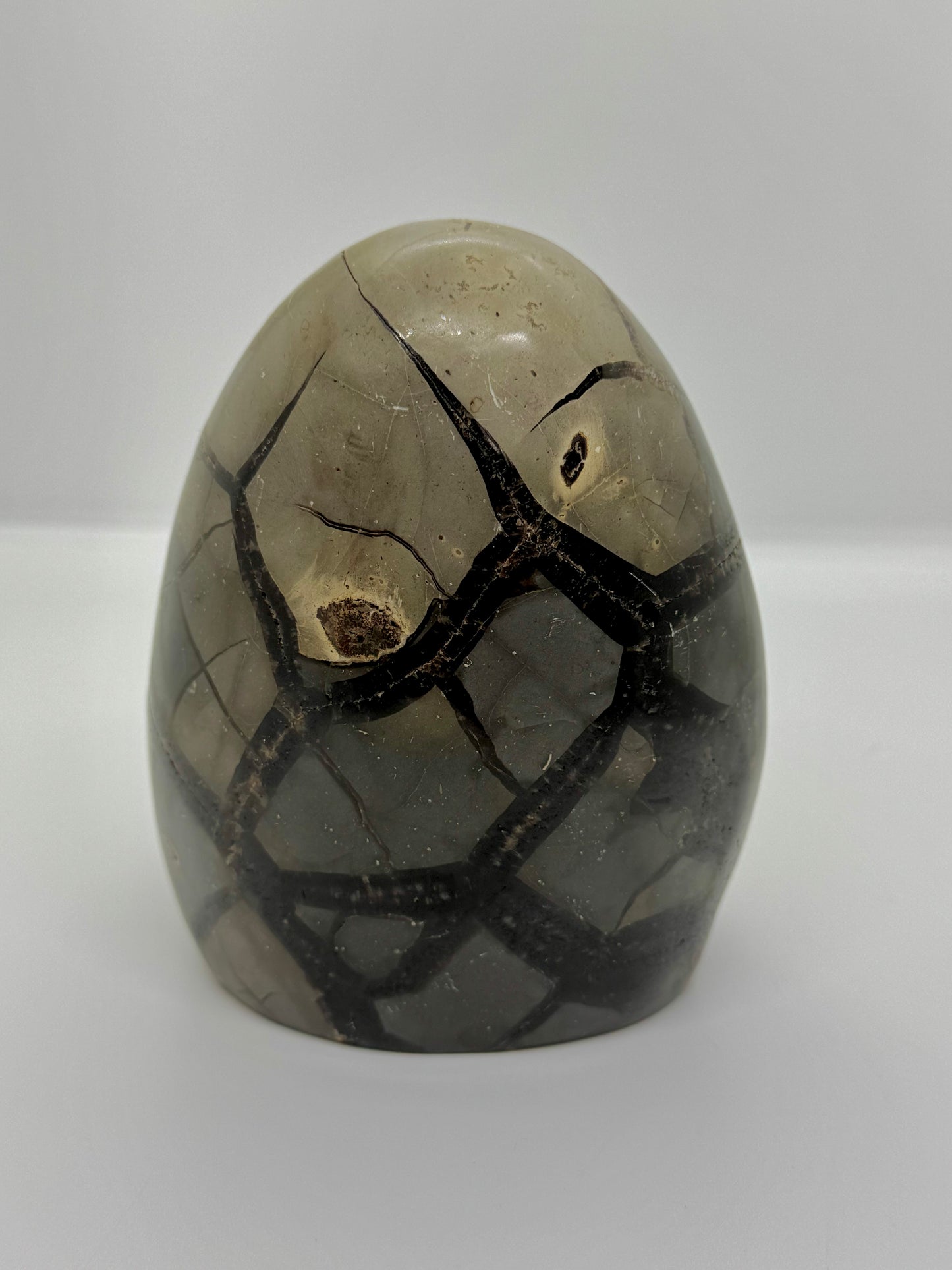Oeuf Septaria sauvage - 1.2kg