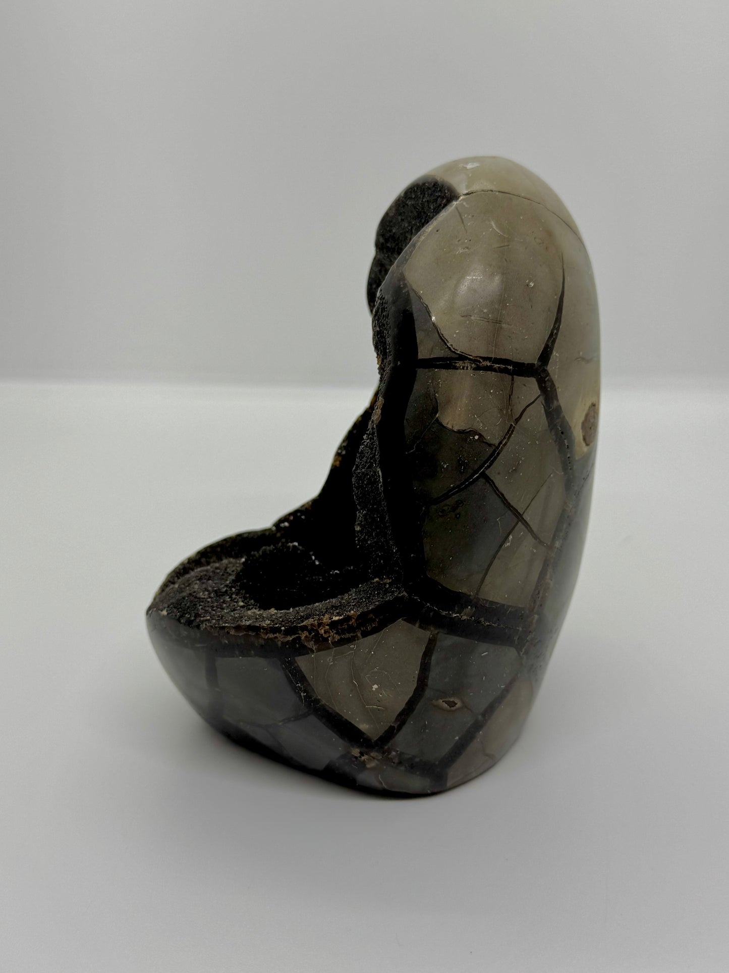Oeuf Septaria sauvage - 1.2kg