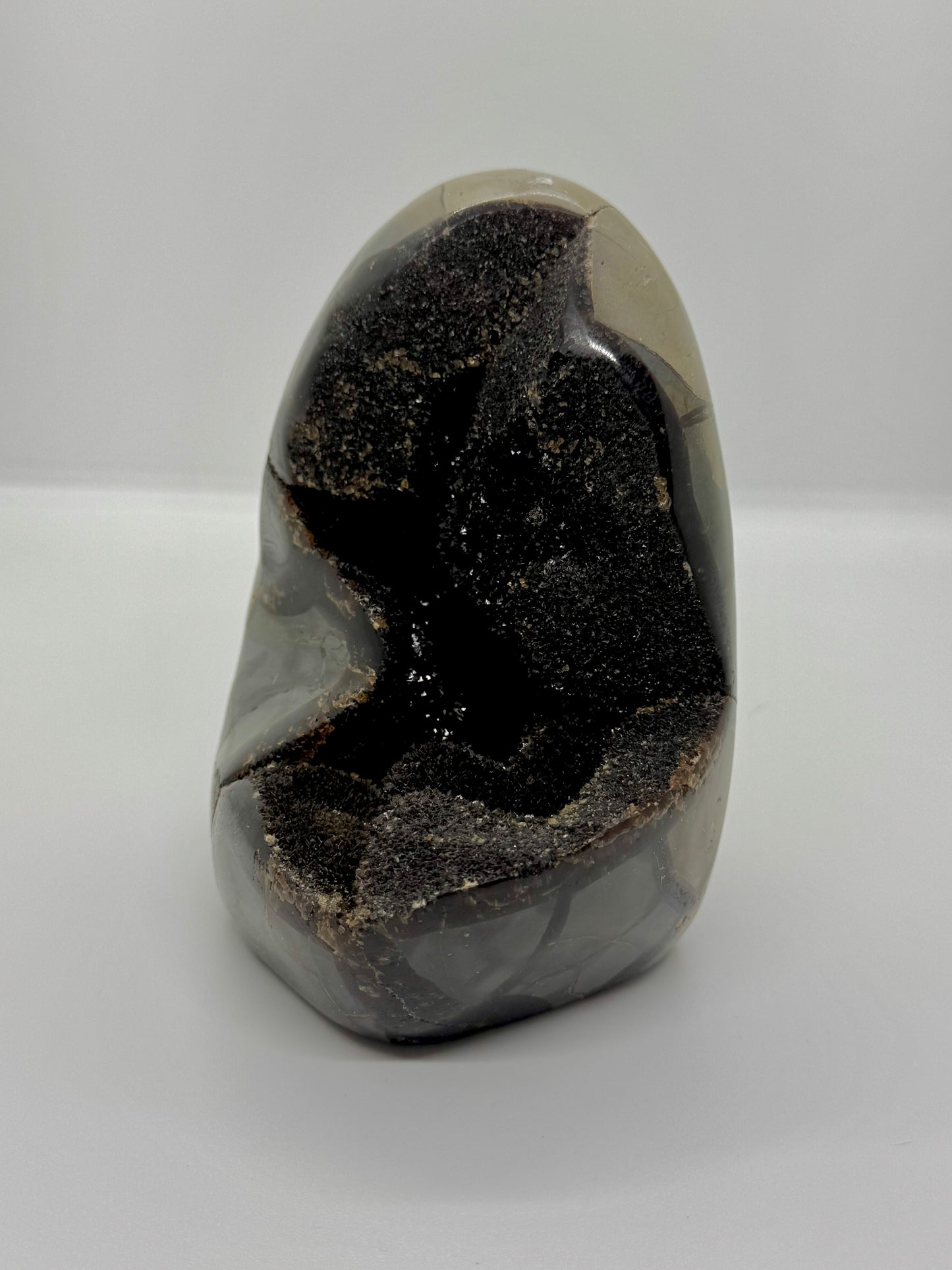 Oeuf Septaria sauvage - 1.2kg
