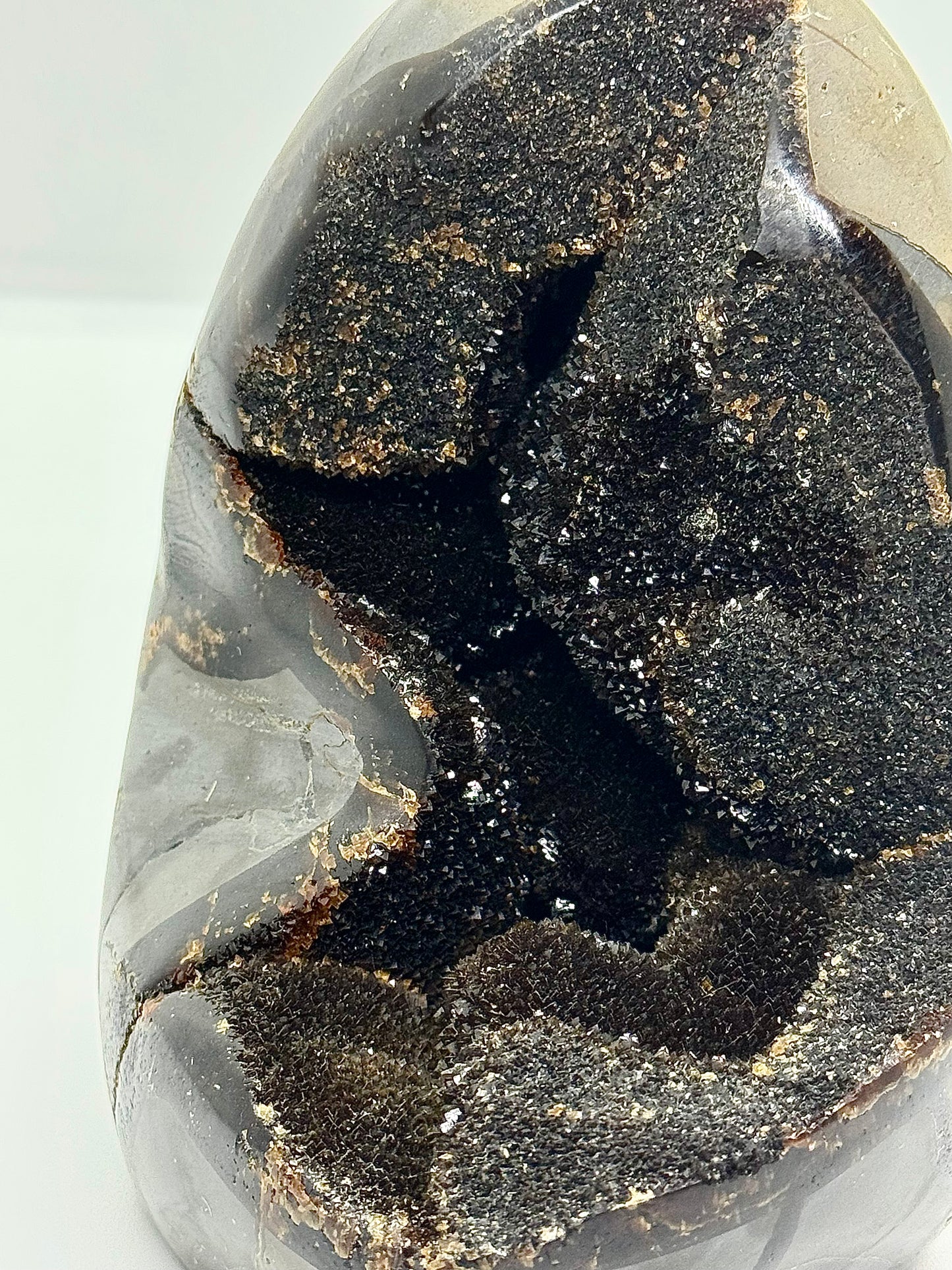 Oeuf Septaria sauvage - 1.2kg