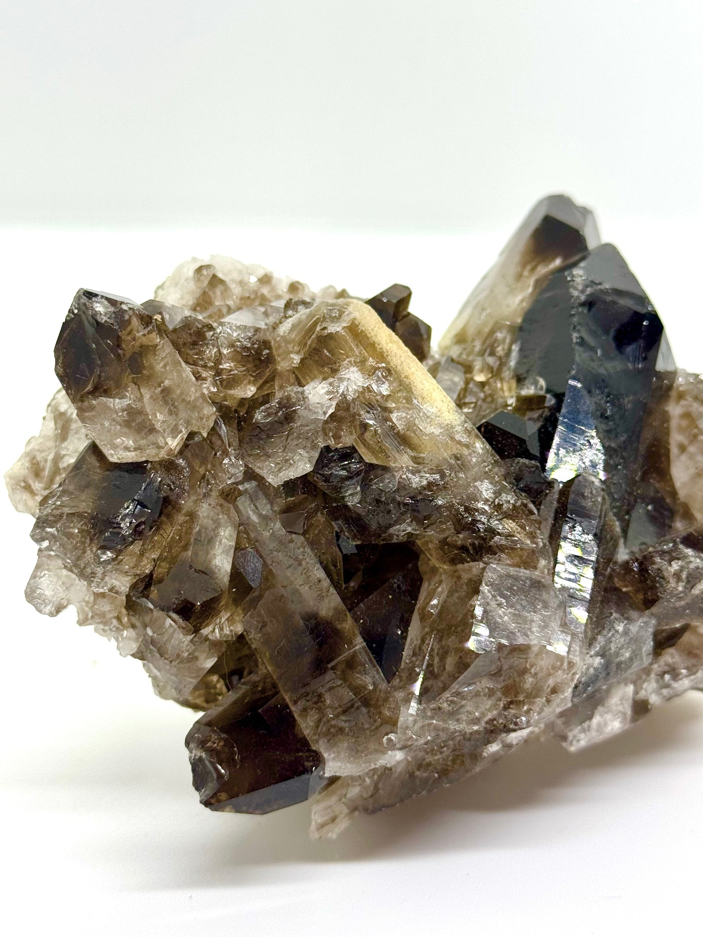 Druse Quartz fumé - 530g