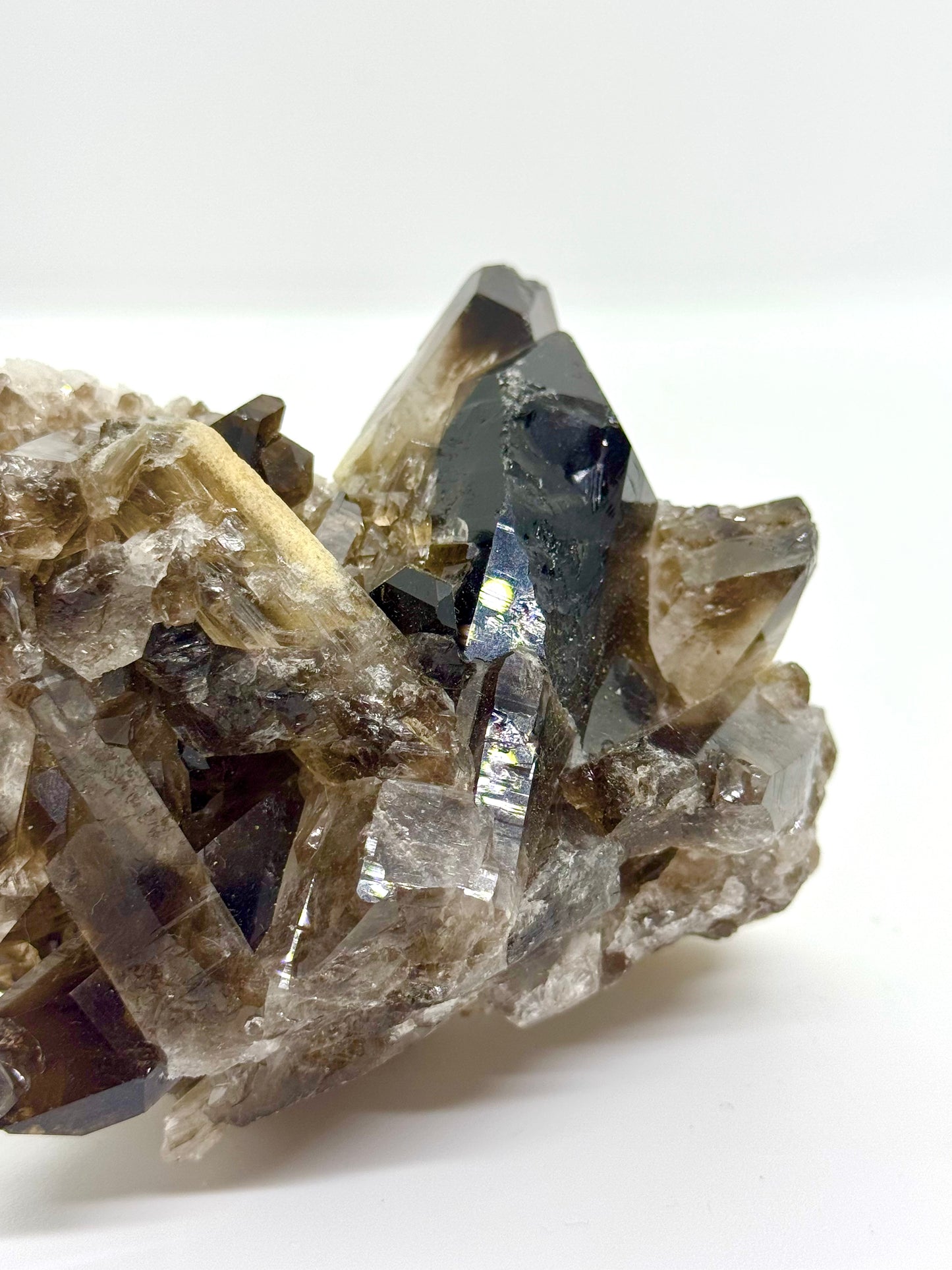 Druse Quartz fumé - 530g