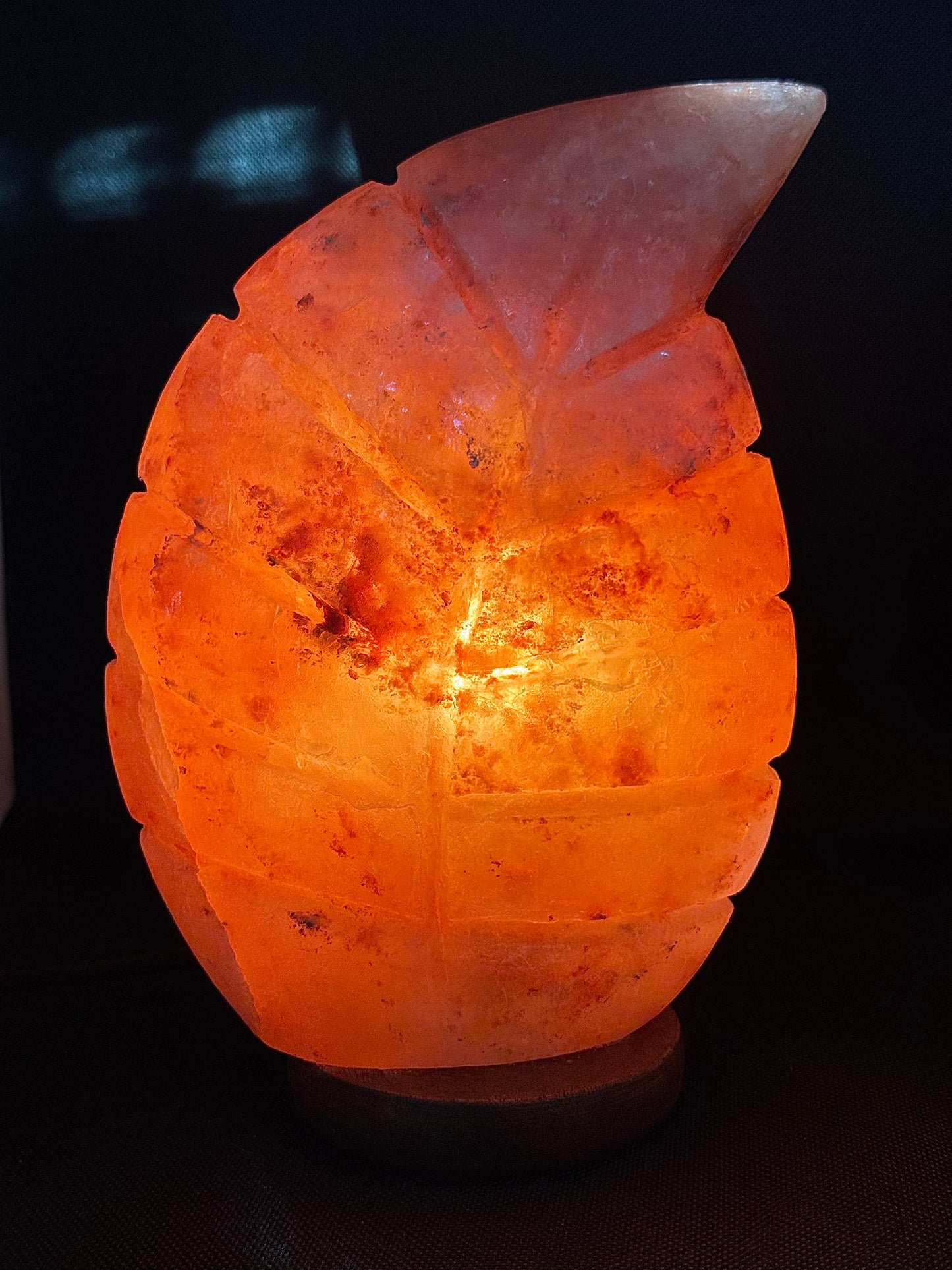 Lampe de sel de l'Himalaya - Feuille