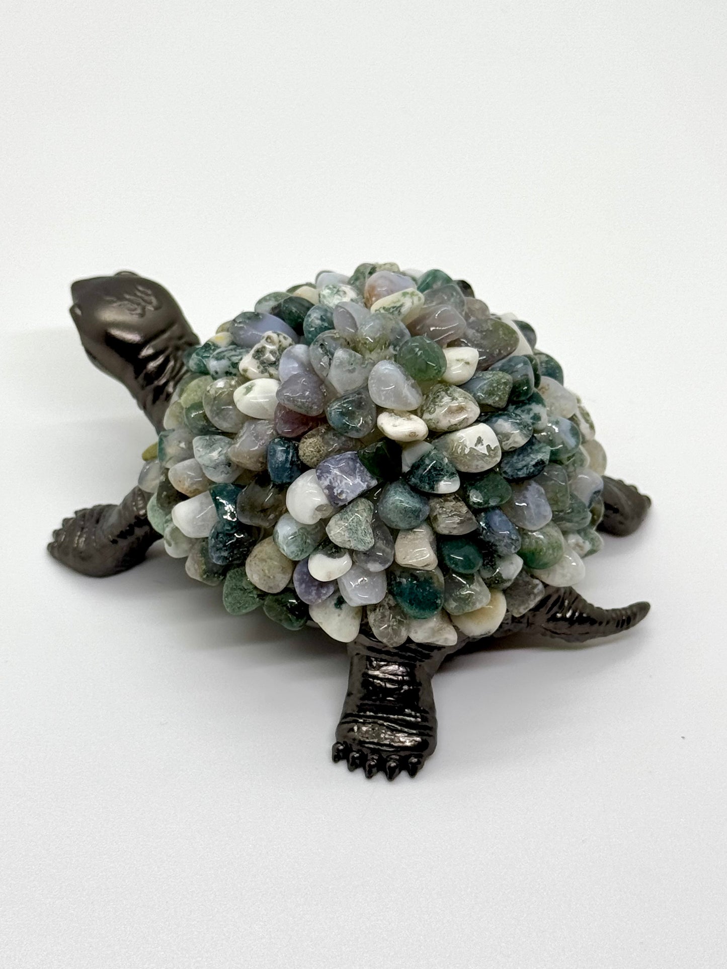 Tortue Agate Arbre