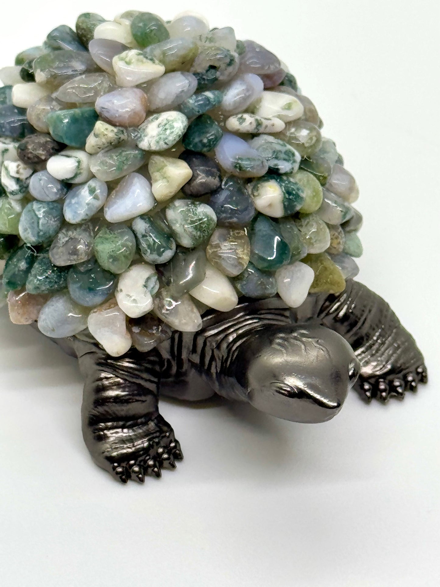 Tortue Agate Arbre
