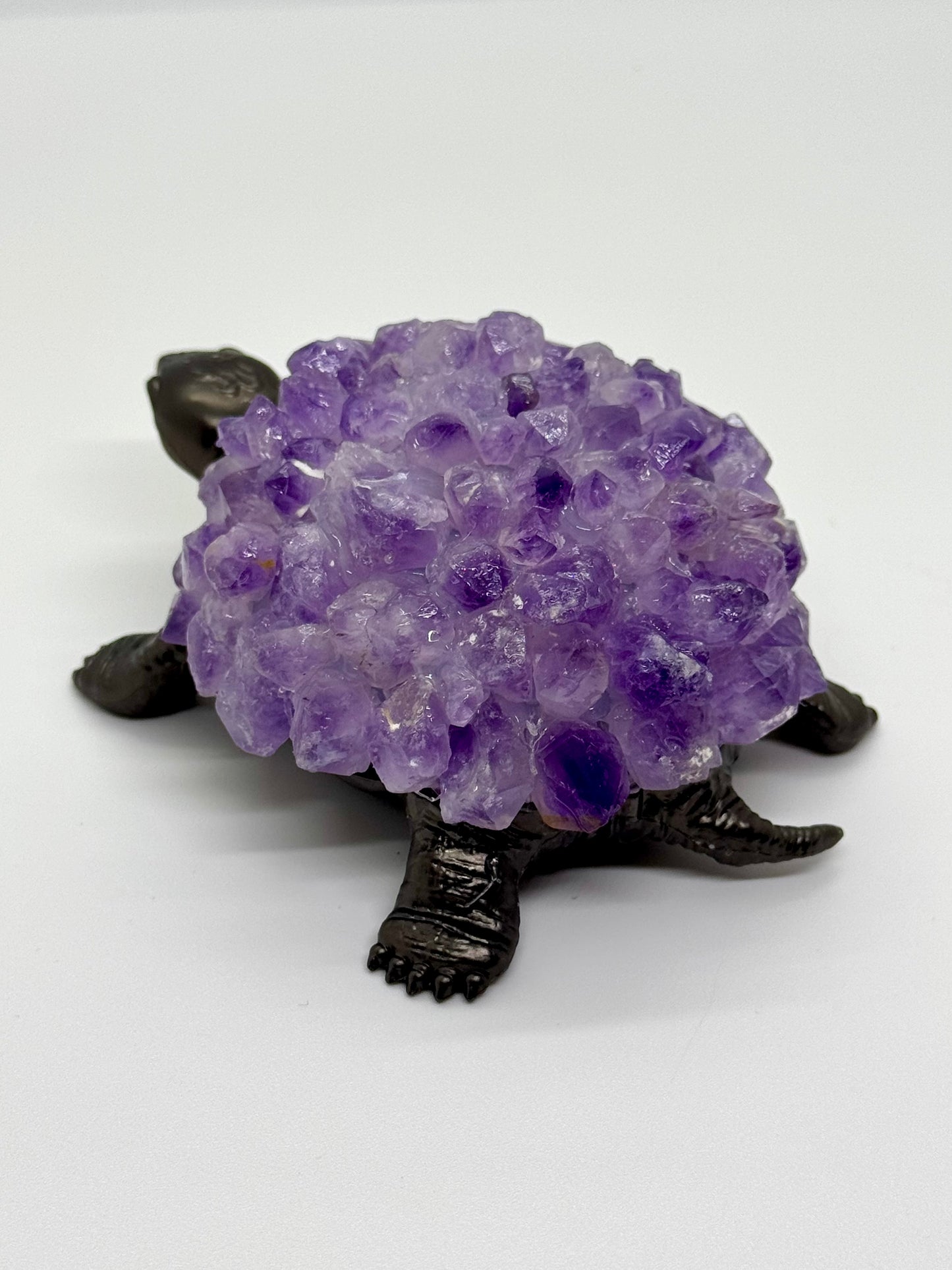 Tortue Améthyste