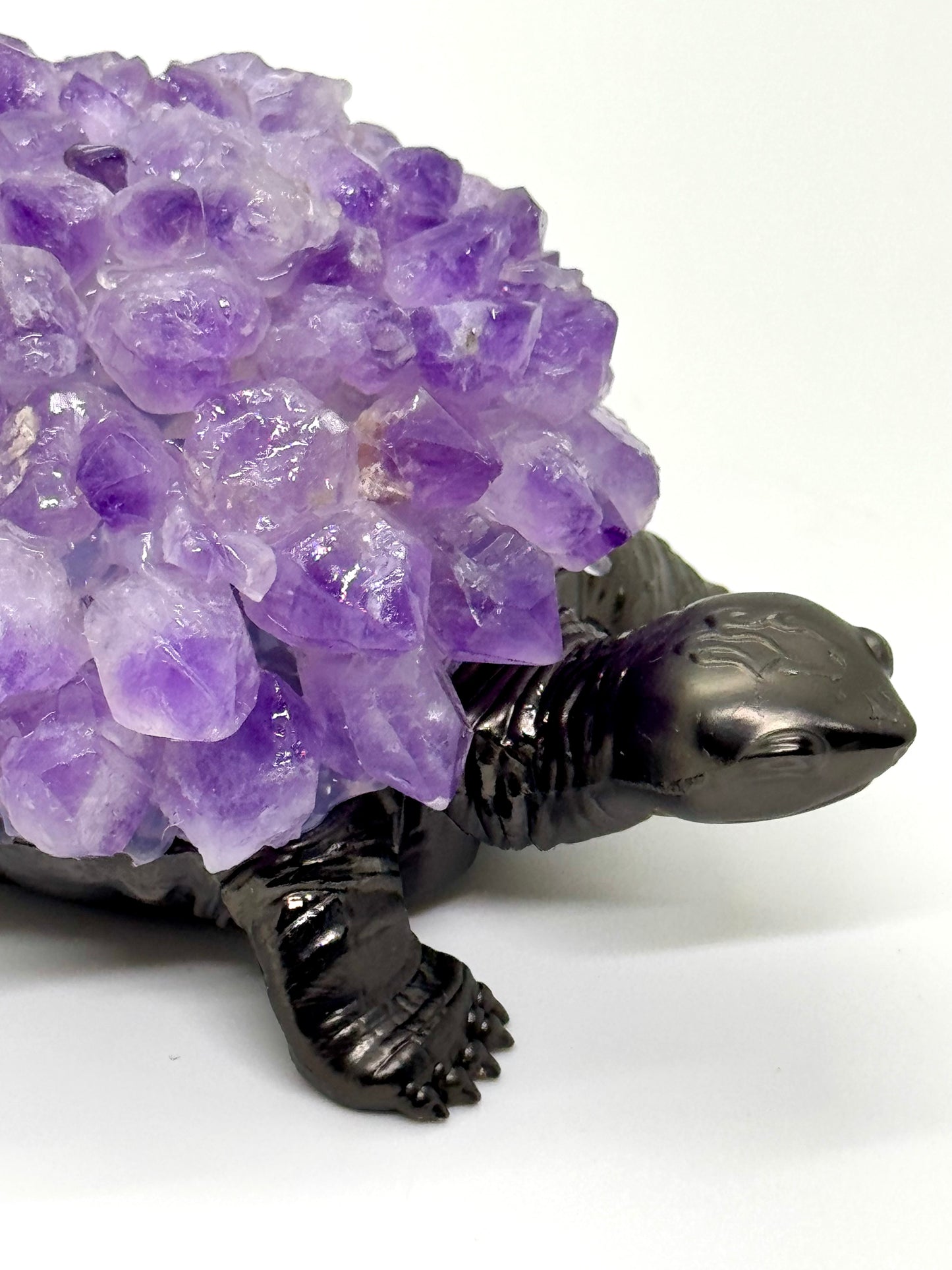 Tortue Améthyste