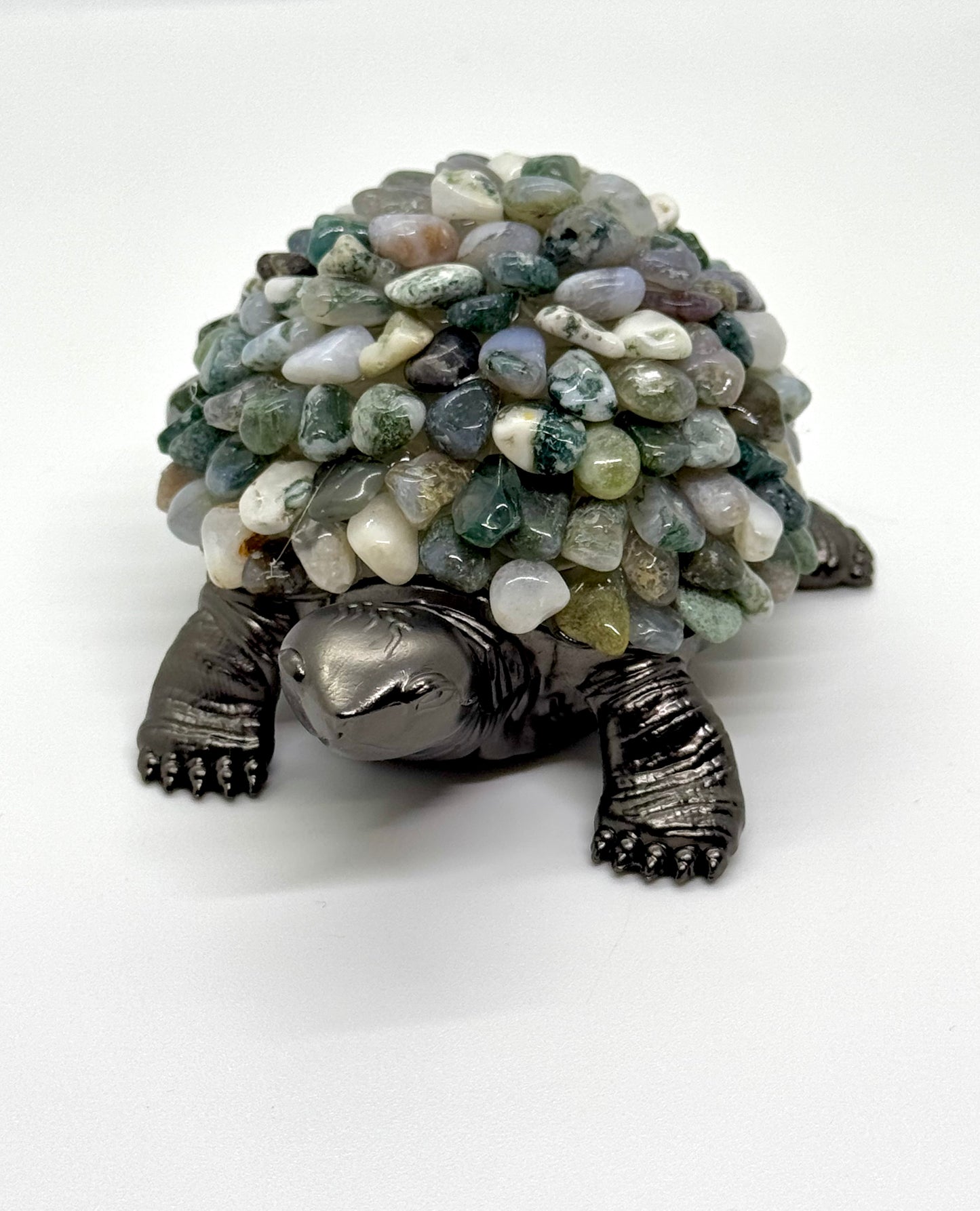 Tortue Agate Arbre
