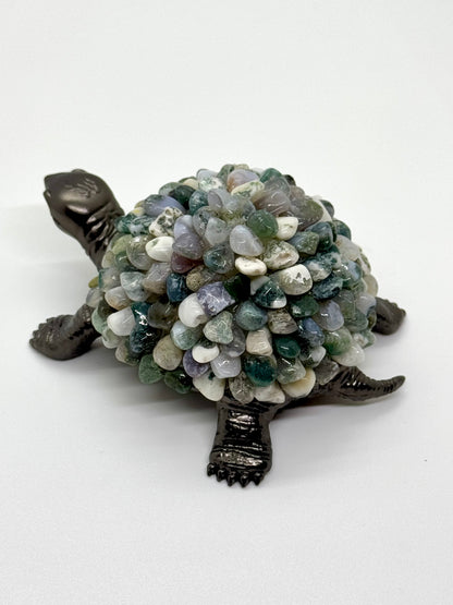 Tortue Agate Arbre